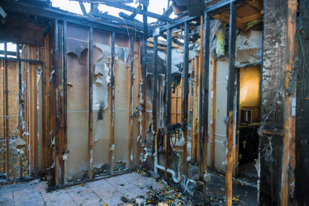 Professional Fire Damage Removal technician working in Brentwood, MD